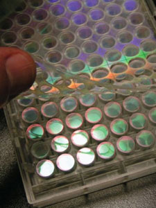 laser-cut-microarray