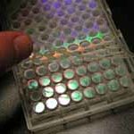 laser cut microarray laser cut microarray