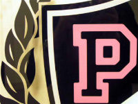 vinyl sign laser cut vinyl sign